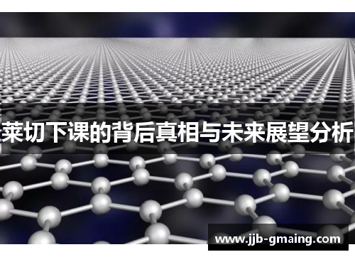 莱切下课的背后真相与未来展望分析