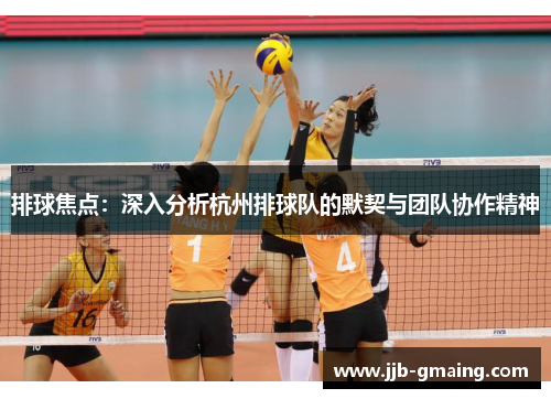 排球焦点：深入分析杭州排球队的默契与团队协作精神