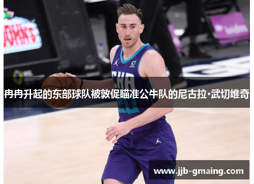 冉冉升起的东部球队被敦促瞄准公牛队的尼古拉·武切维奇